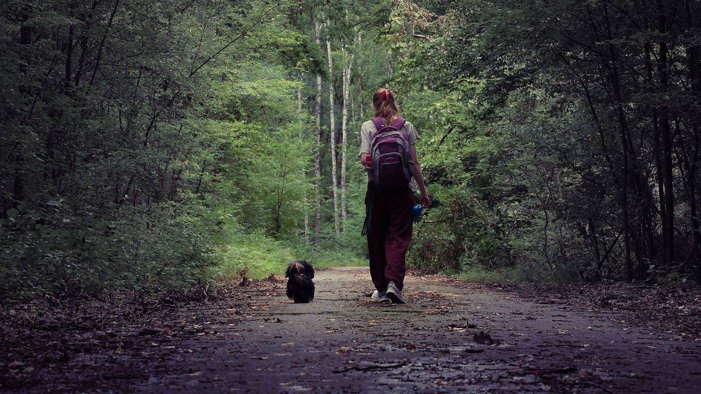 A hiker and her small dog walking a wooded trail